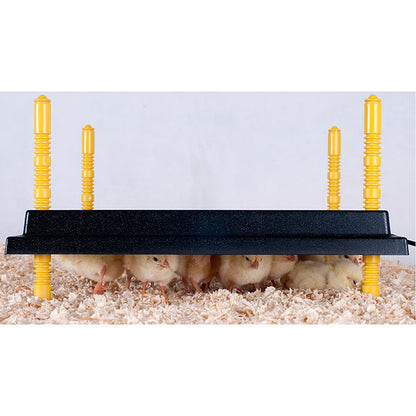 Comfort Brooder 50 – 55 Chicks