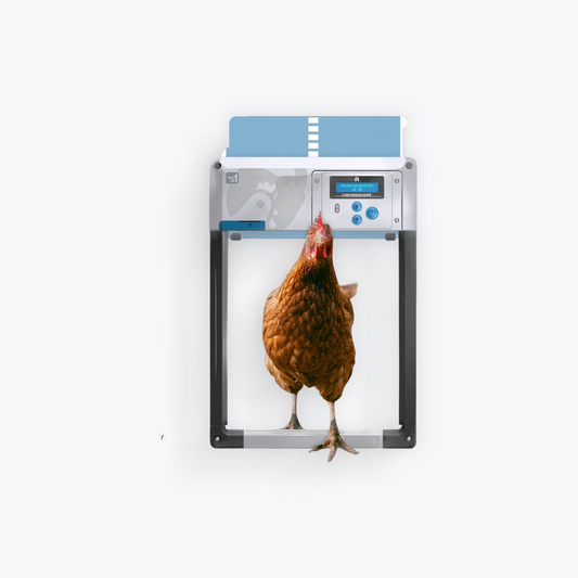 ChickenGuard All in One Automatic Chicken Door