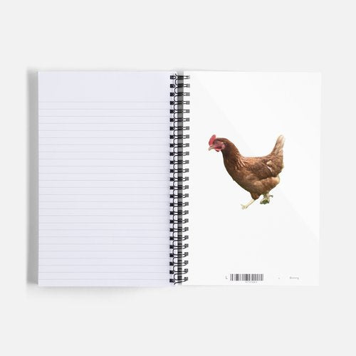 GMP Notebook