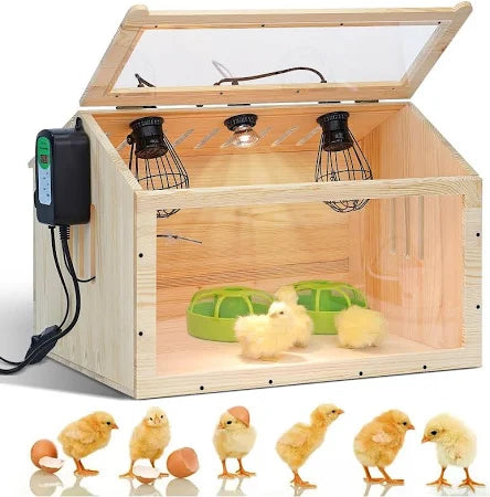 Small Chicken Brooder